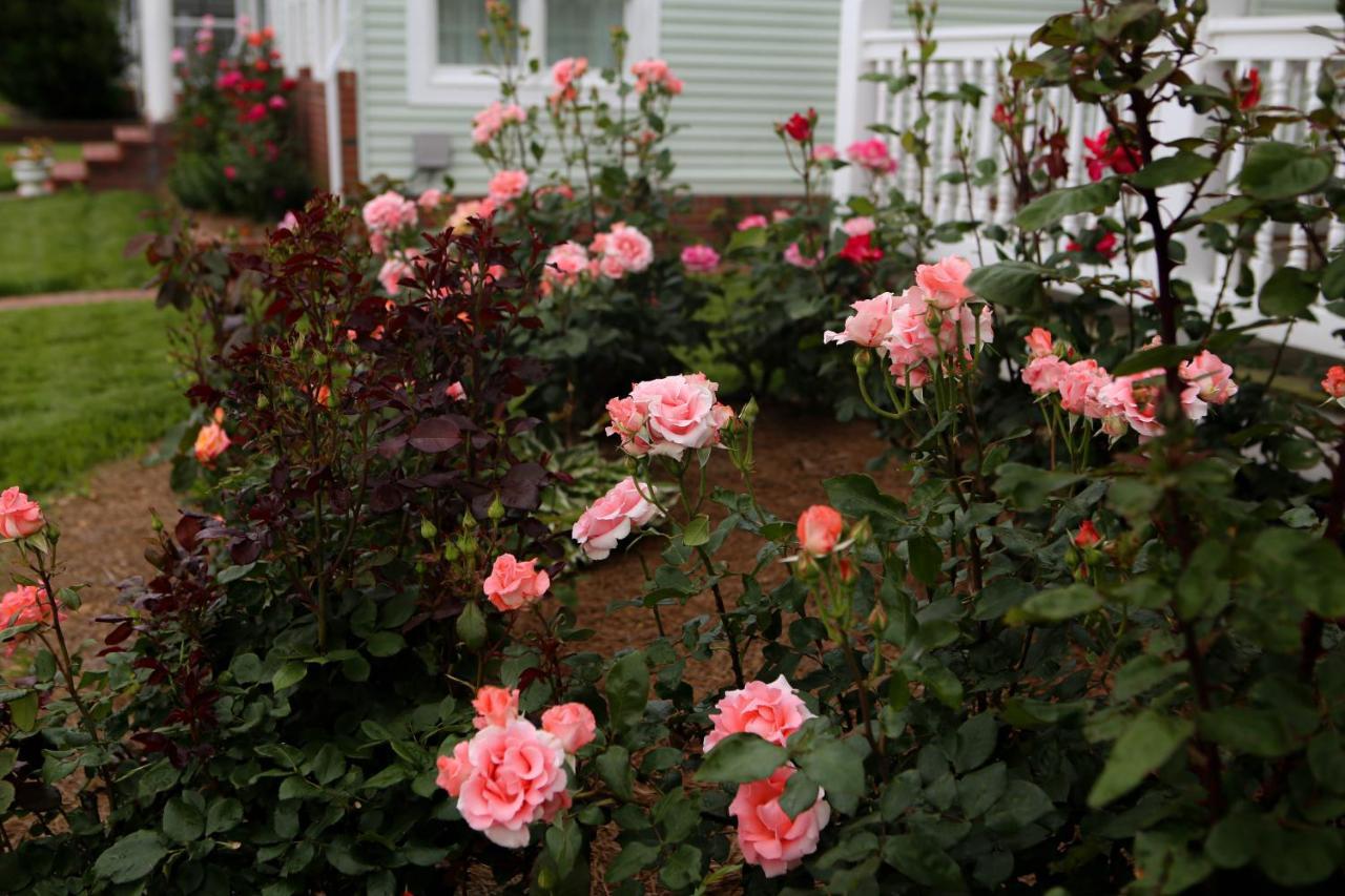 Waterside Inn Chincoteague Dış mekan fotoğraf